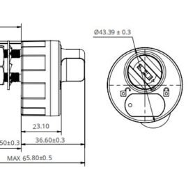 الصوره المصغره